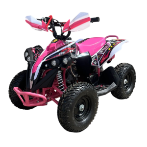 MINI QUAD 49CC - M2R CALANGO